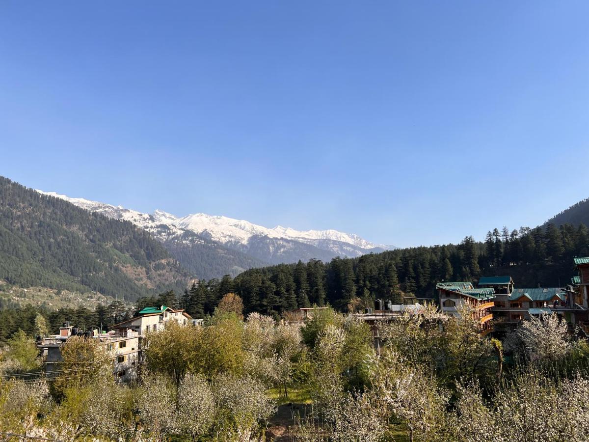 Auberge de jeunesse Yolo Backpackers - Manali Extérieur photo