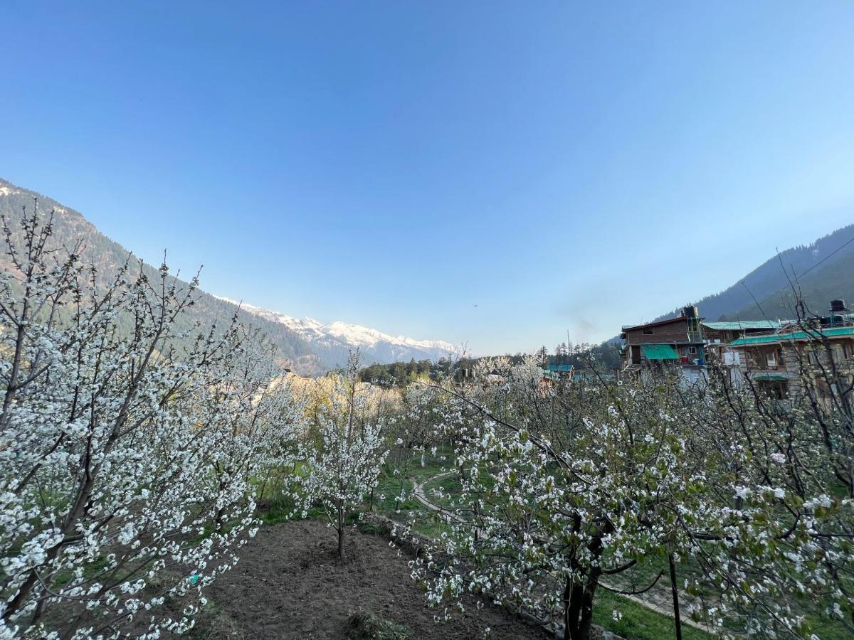 Auberge de jeunesse Yolo Backpackers - Manali Extérieur photo