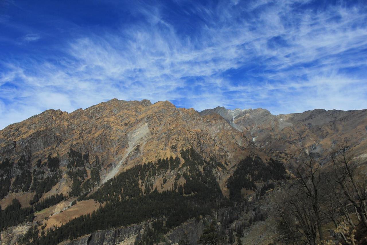 Auberge de jeunesse Yolo Backpackers - Manali Extérieur photo